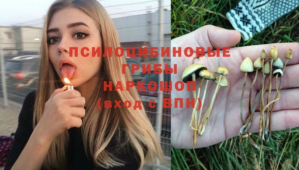 СК Вязники